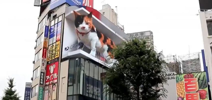 gatto-gigantesco